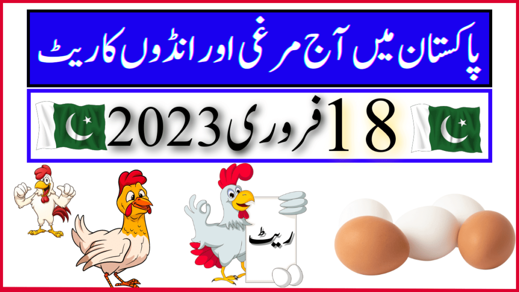 Today Egg and Chicken Rate in Pakistan