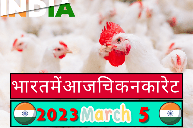 Chicken Rate in India 5 March 2023