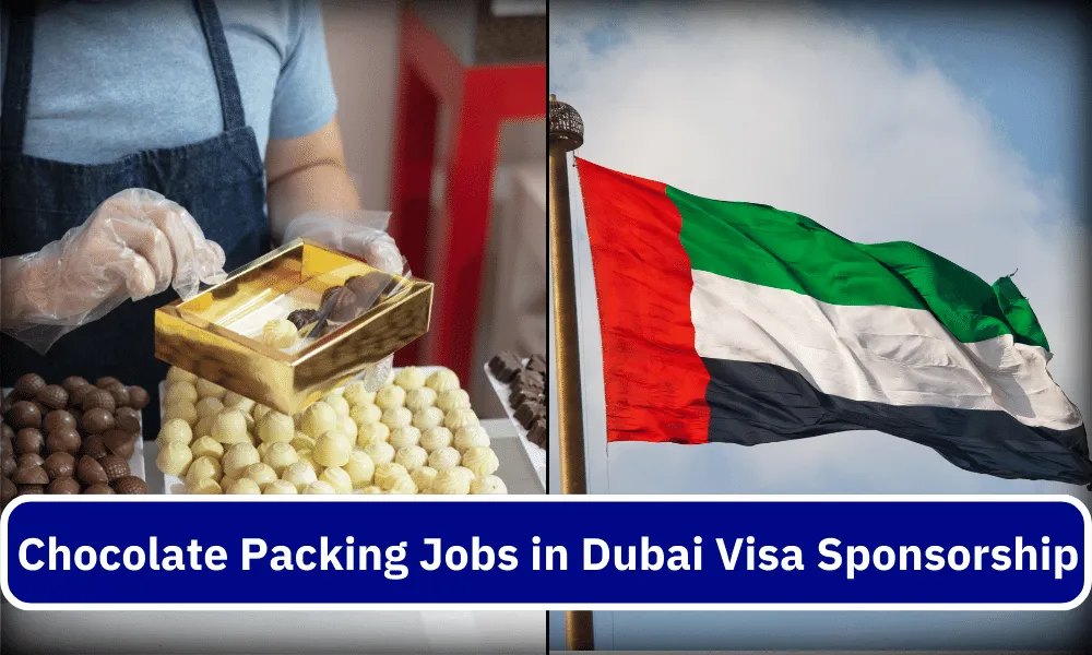 Chocolate Packing Jobs in Dubai with Visa Sponsorship – Apply Now