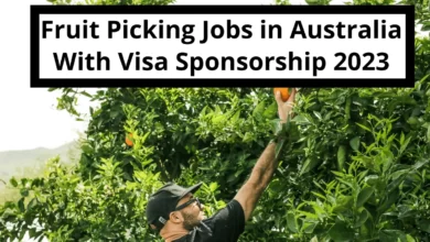 Fruit Picking Jobs in Australia With Visa Sponsorship 2023