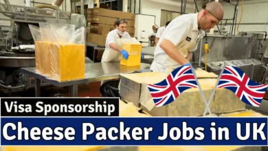 Cheese Packer Jobs in UK with Visa Sponsorship