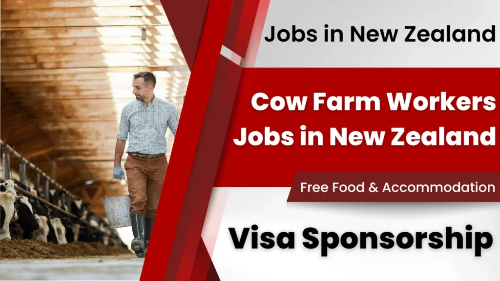 Cow Farm Workers Jobs in New Zealand with Visa Sponsorship