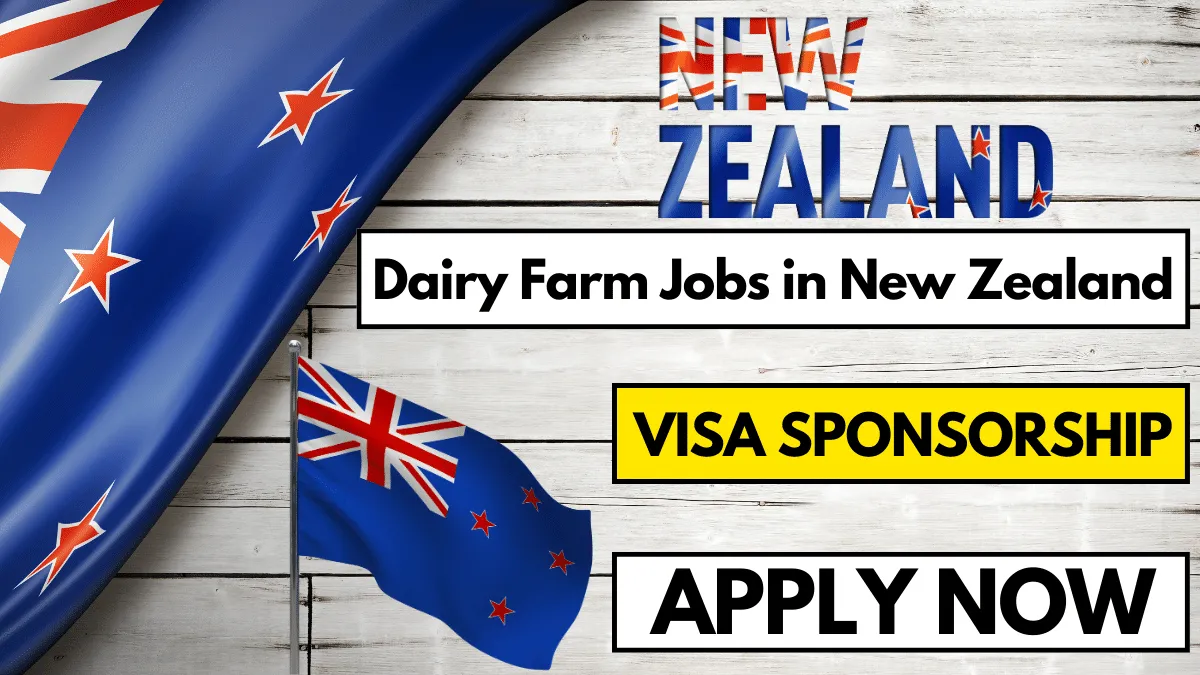 Dairy Farm Jobs in New Zealand with Visa Sponsorship