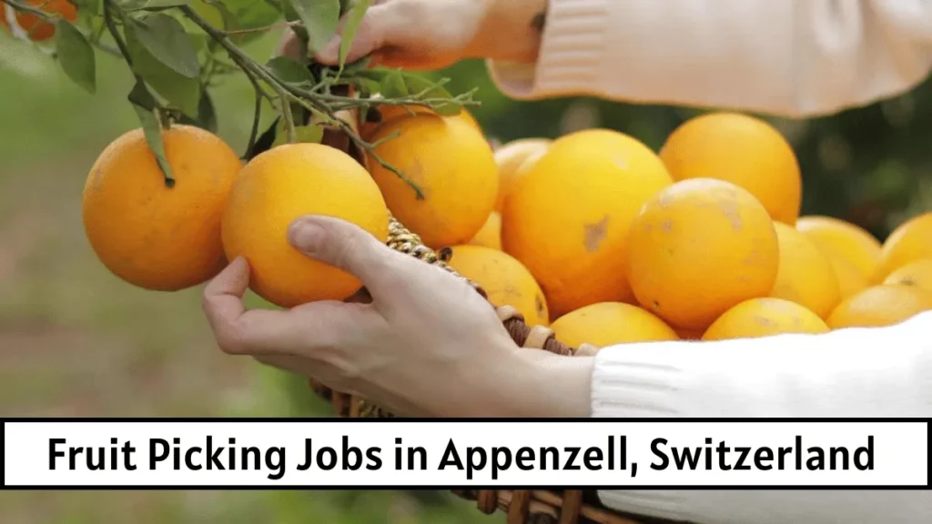 Fruit Picking Jobs in Appenzell, Switzerland for Foreigners