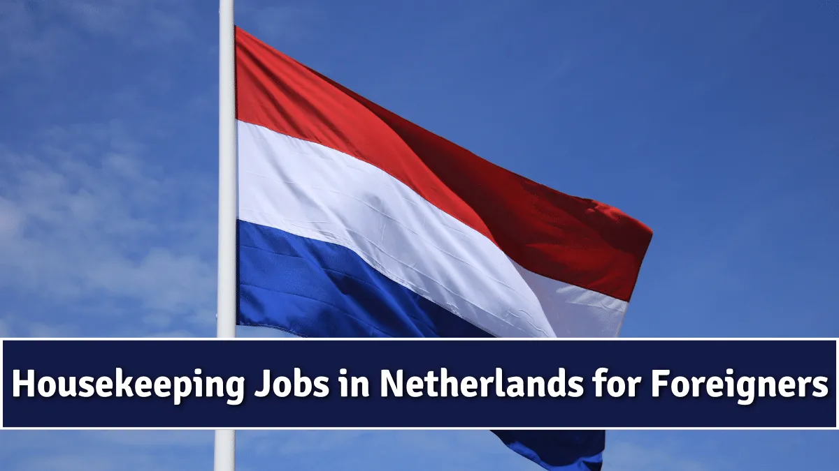 It jobs in netherlands for foreigners