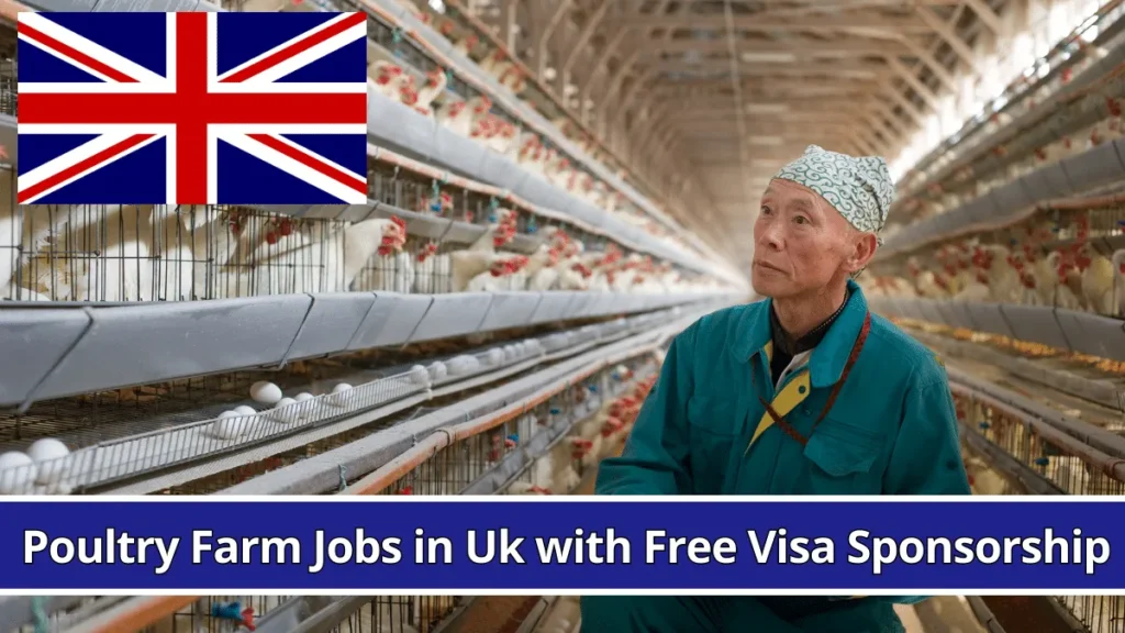 Poultry Farm Jobs in UK with Free Visa Sponsorship