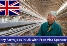 Poultry Farm Jobs in UK with Free Visa Sponsorship