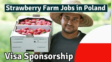 Strawberry Farm Jobs in Poland with Visa Sponsorship – Apply Now