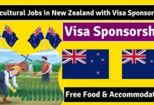 Agricultural Jobs in New Zealand with Visa Sponsorship in 2024