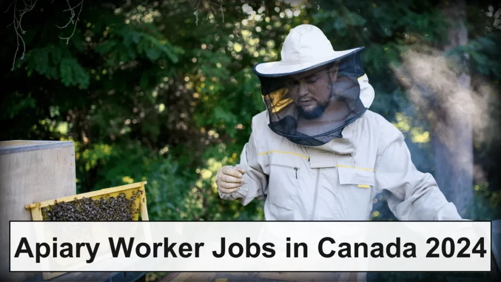 Apiary Worker Jobs in Canada 2024 with Visa Sponsorship