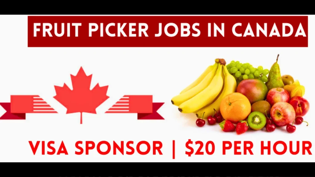 Canada Fruit Picker Jobs with LMIA Approved