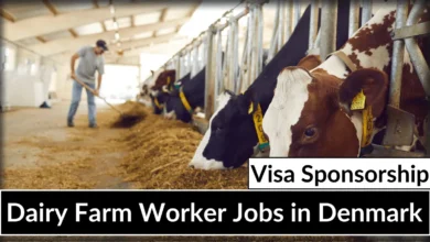 Dairy Farm Worker Jobs in Denmark with Visa Sponsorship