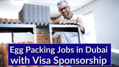 Egg Packing Jobs in Dubai with Visa Sponsorship