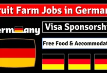 Fruit Farm Jobs in Germany with Visa Sponsorship