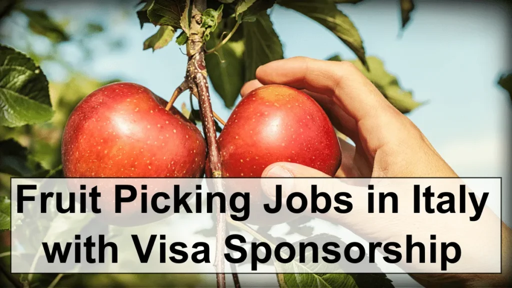 Fruit Picking Jobs in Italy for foreigners with Visa Sponsorship