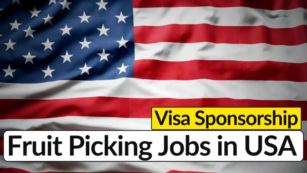 Fruit Picking Jobs in USA with Visa Sponsorship