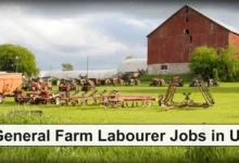 General Farm Labourer Jobs in UK with Visa Sponsorship