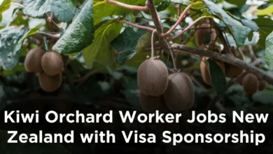 Kiwi Orchard Worker Jobs New Zealand with Visa Sponsorship