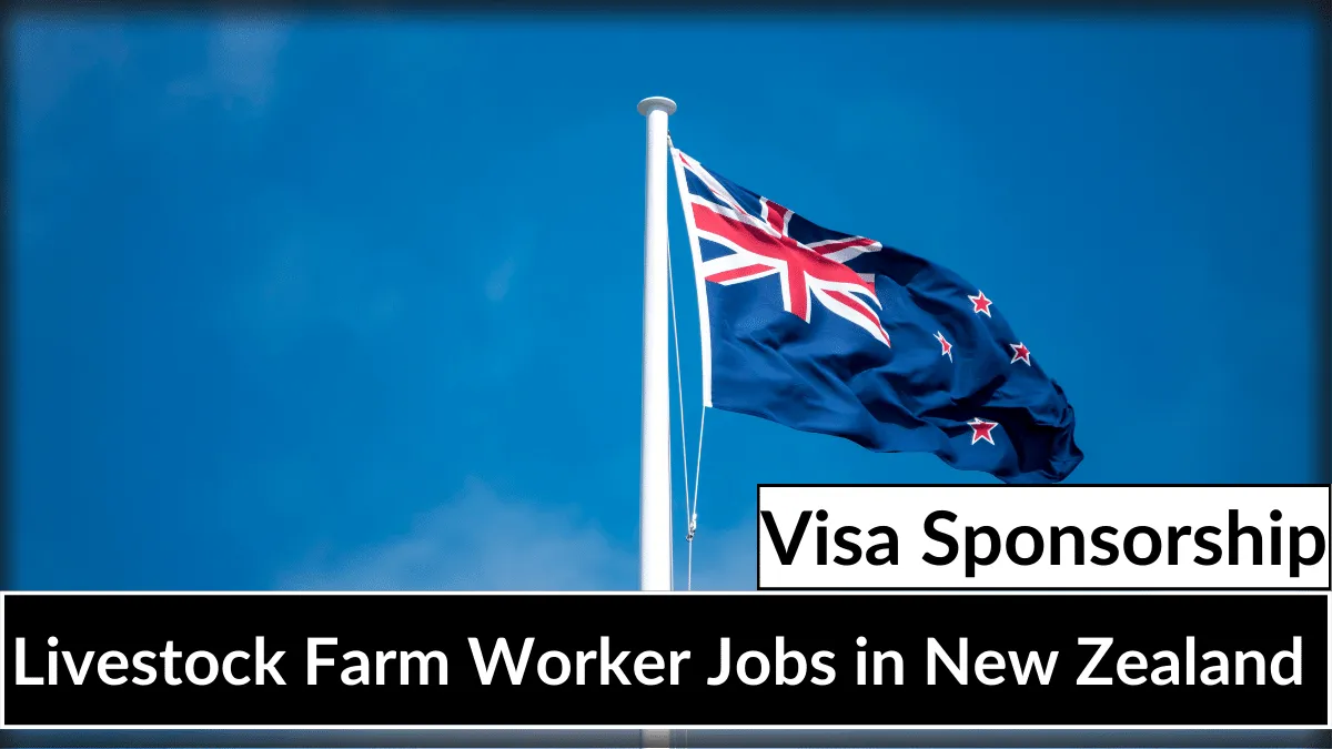 Livestock Farm Worker Jobs in New Zealand with Visa Sponsorship 2026