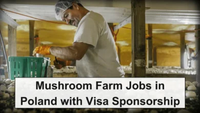 Mushroom Farm Jobs in Poland with Visa Sponsorship