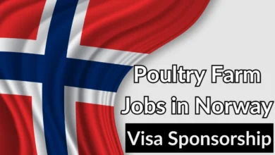 Poultry Farm Jobs in Norway Visa Sponsorship 2024