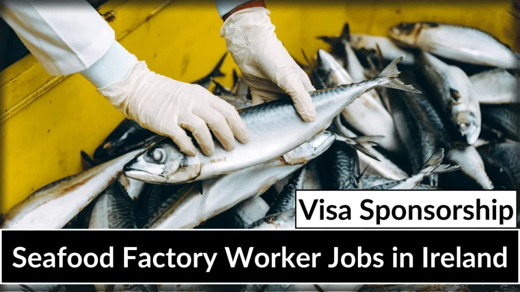 Seafood Factory Worker Jobs in Ireland with Visa Sponsorship