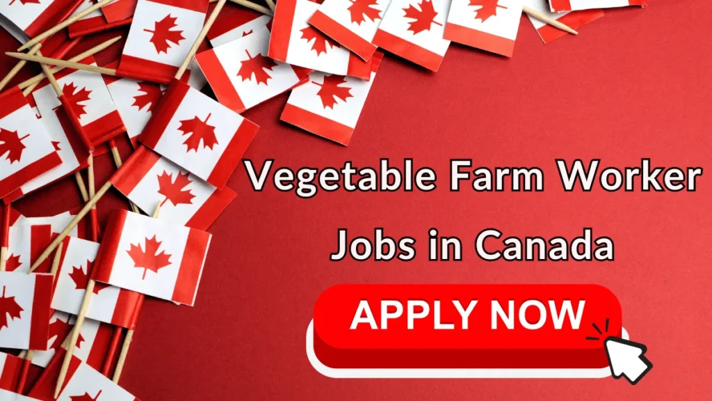 Vegetable Farm Worker Jobs in Canada