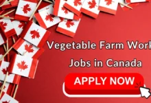 Vegetable Farm Worker Jobs in Canada - Apply Online