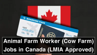 Animal Farm Worker (Cow Farm) Jobs in Canada (LMIA Approved)