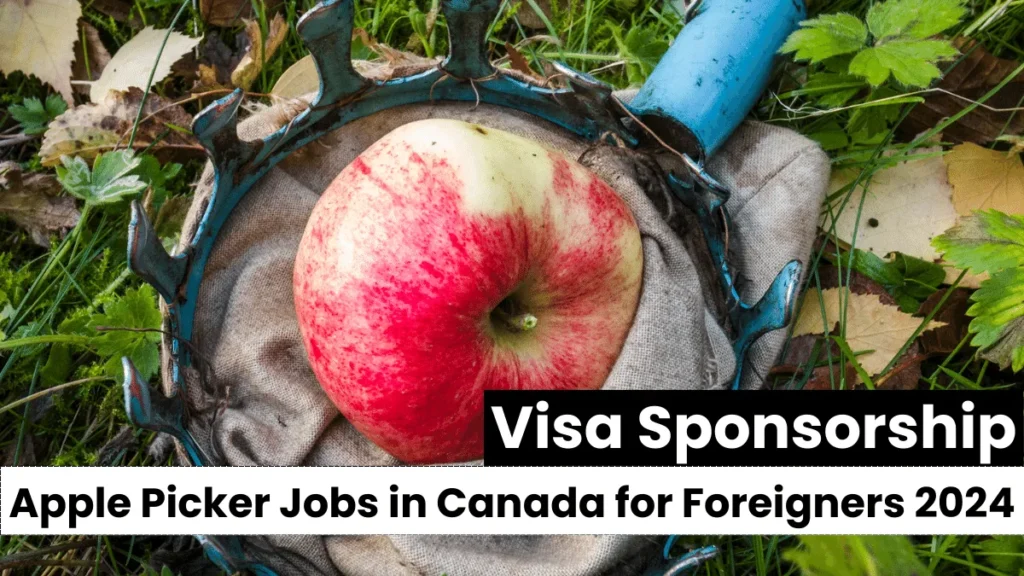 Apple Picker Jobs in Canada for Foreigners 2024 