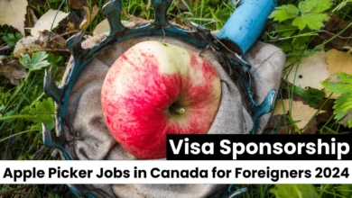 Apple Picker Jobs in Canada for Foreigners 2024