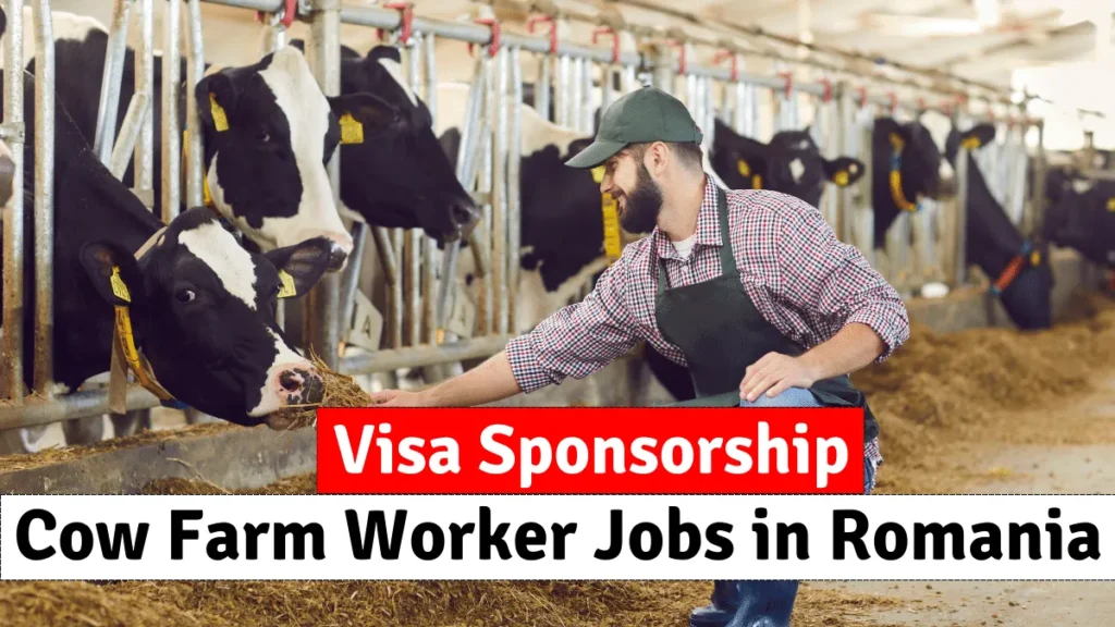 Cow Farm Worker Jobs in Romania Visa Sponsorship