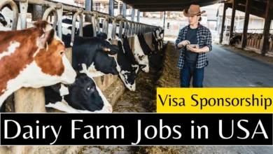 Dairy Farm Jobs in USA with Visa Sponsorship