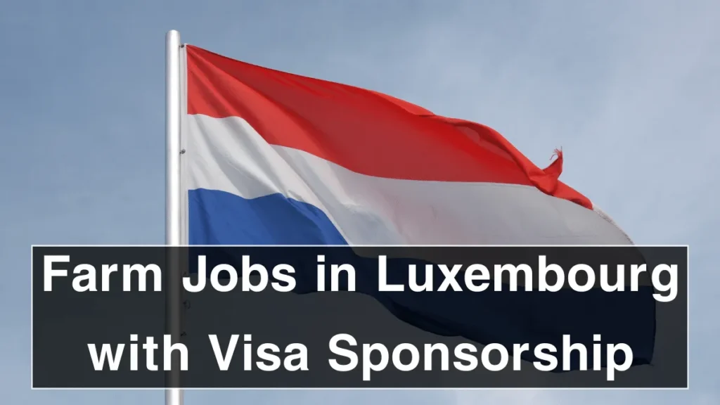 Farm Jobs in Luxembourg with Visa Sponsorship