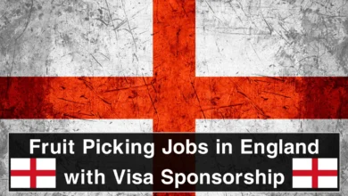 Fruit Picking Jobs in England with Visa Sponsorship