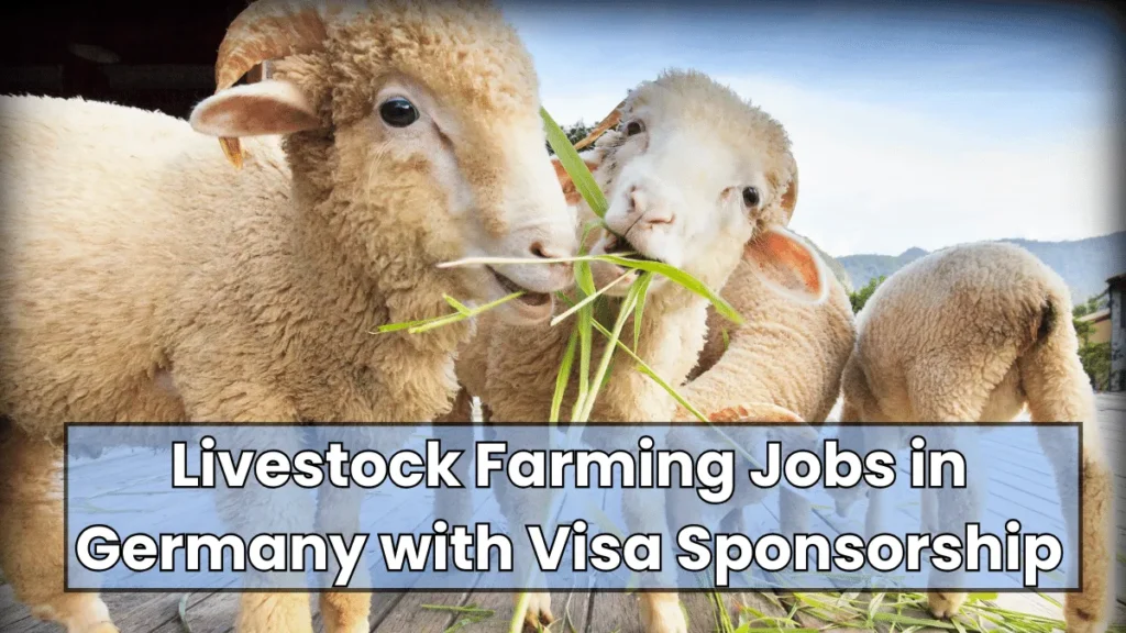 Livestock Farming Jobs in Germany with Visa Sponsorship