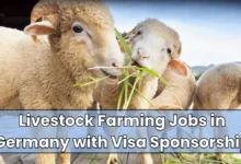 Livestock Farming Jobs in Germany with Visa Sponsorship