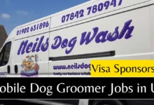 Mobile Dog Groomer Jobs in UK with Visa Sponsorship 2024