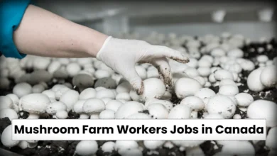 Mushroom Farm Workers Jobs in Canada with Visa Sponsorship