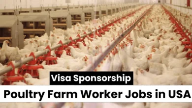 Poultry Farm Worker Jobs in USA with Work Visa Sponsorship 2024 