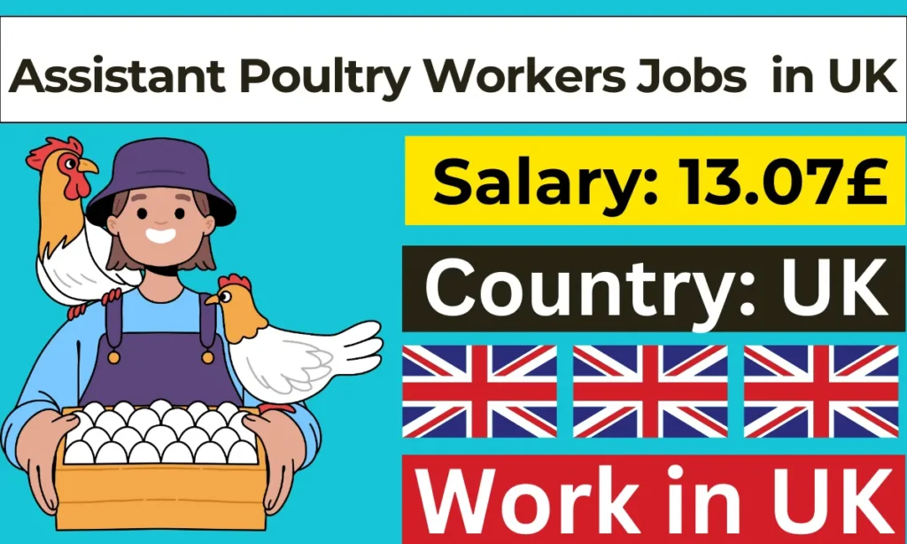 Assistant Poultry Workers Jobs in UK For Foreigners with Visa Sponsorship