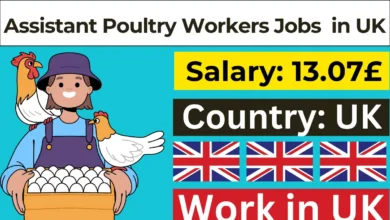 Assistant Poultry Workers Jobs in UK For Foreigners with Visa Sponsorship