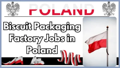 Biscuit Packaging Factory Jobs in Poland