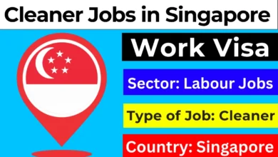 Cleaner Jobs in Singapore with Work Visa Sponsorship 2024