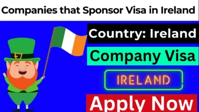 Companies that Sponsor Visa in Ireland