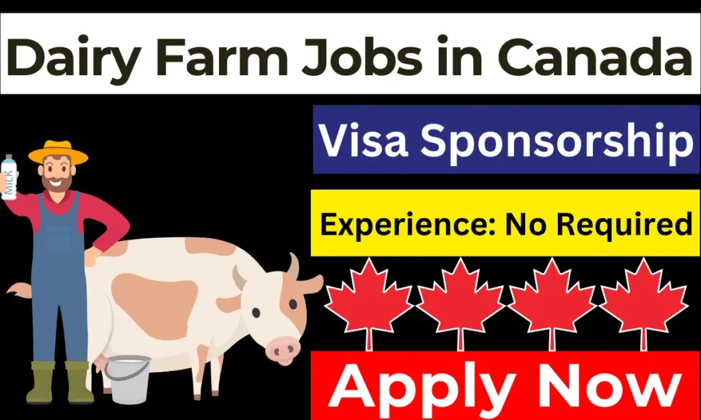 Dairy Farm Jobs in Canada in 2024 - Visa Sponsorship