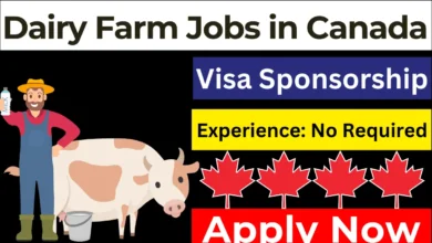 Dairy Farm Jobs in Canada in 2024 - Visa Sponsorship