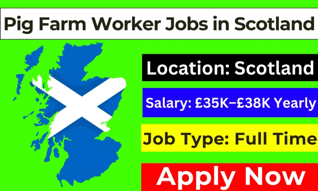 Pig Farm Worker Jobs in Scotland with Work Visa 2024