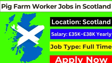 Pig Farm Worker Jobs in Scotland with Work Visa 2024