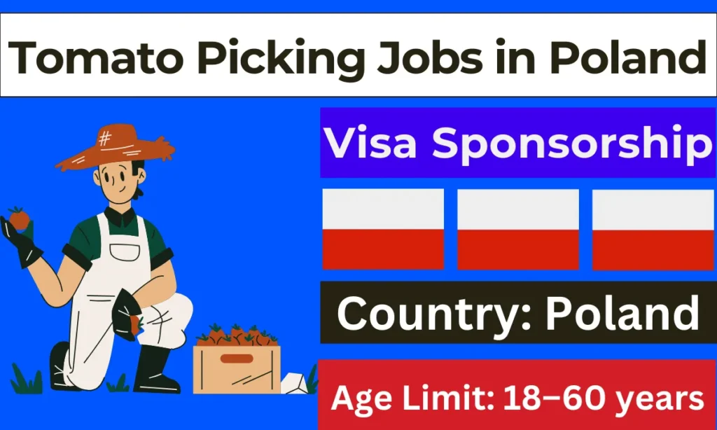 Tomato Picking Jobs in Poland with Visa Sponsorship